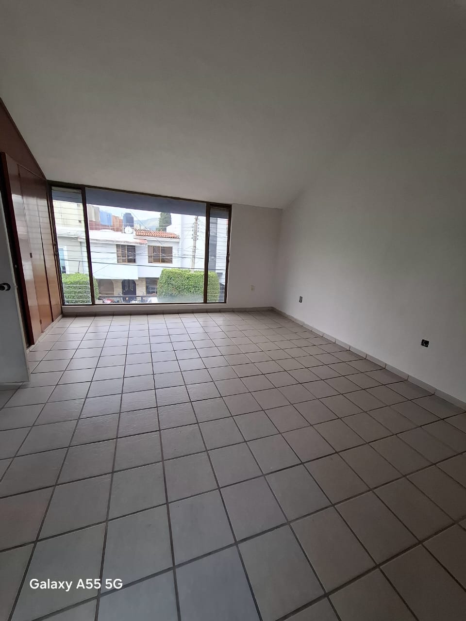 Imagen 28