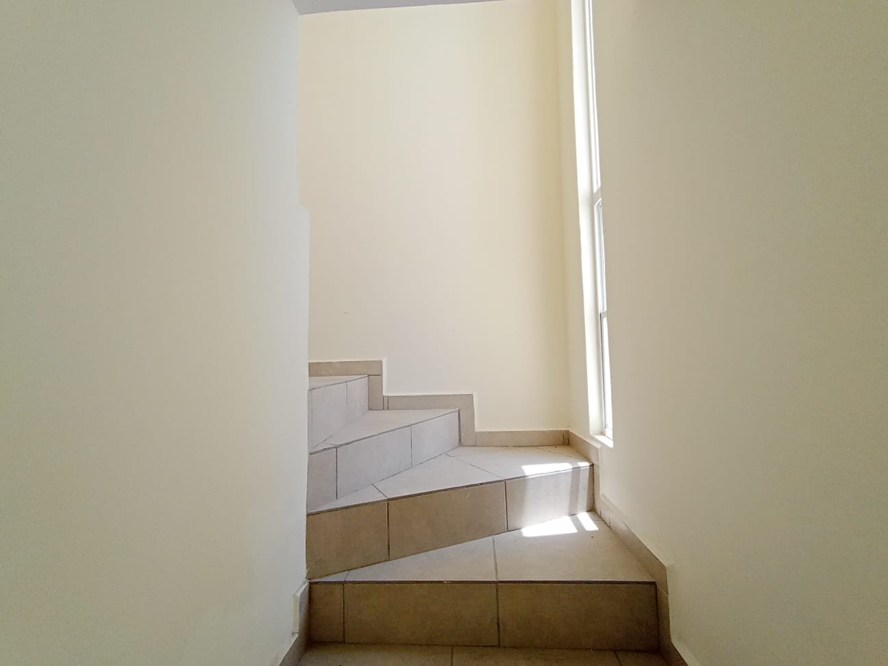 Imagen 10