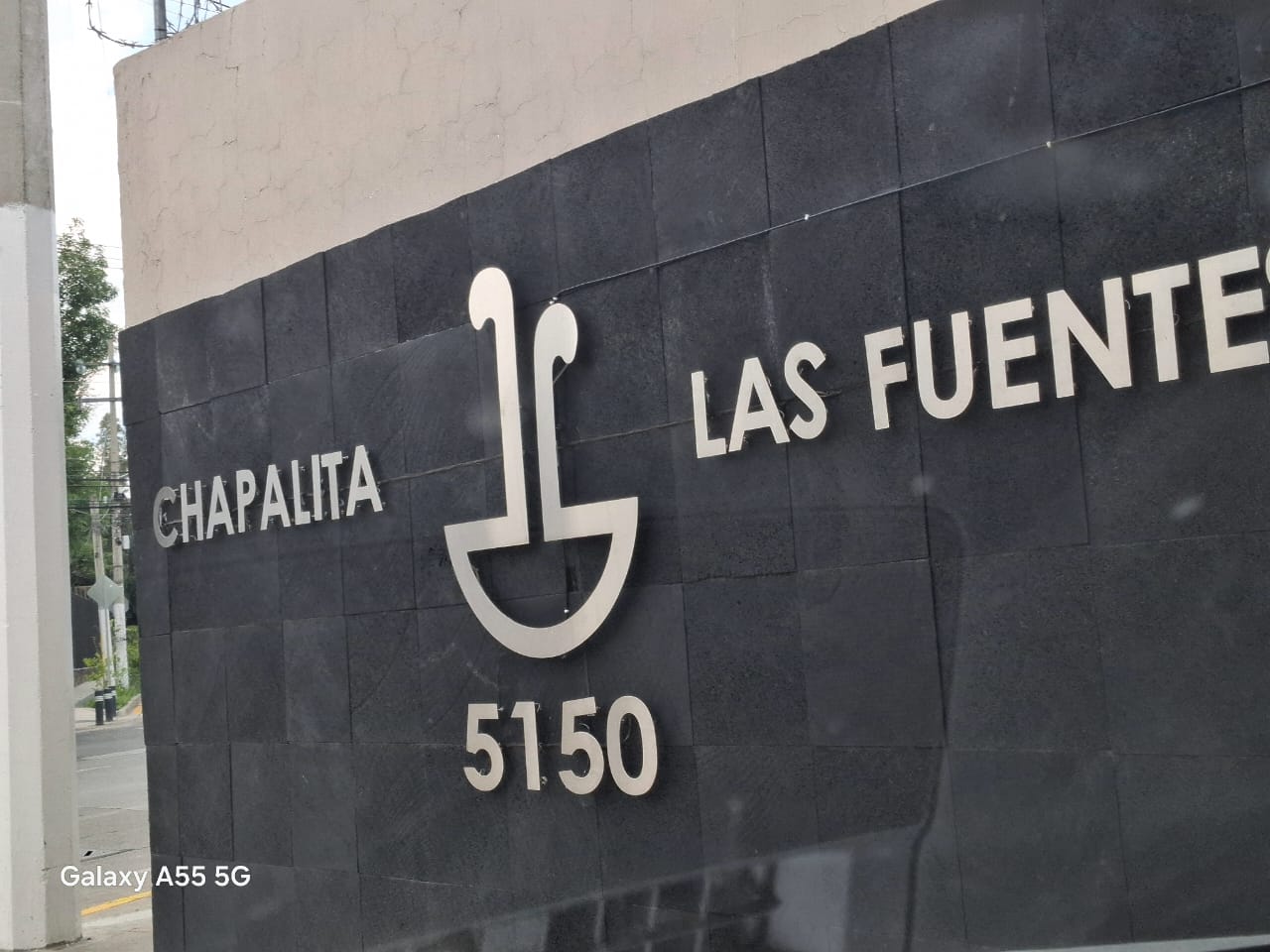 Imagen 8