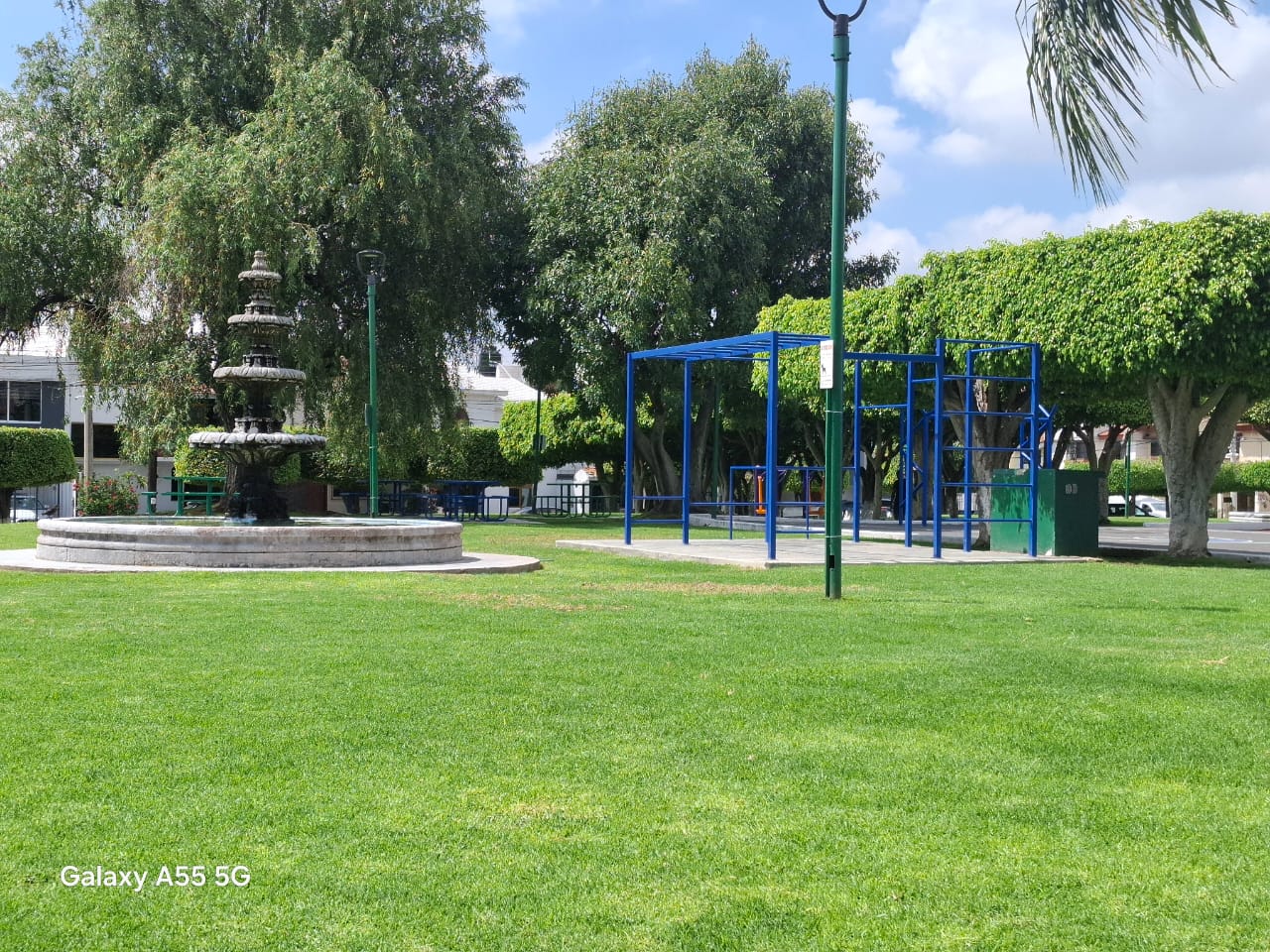 Imagen 65