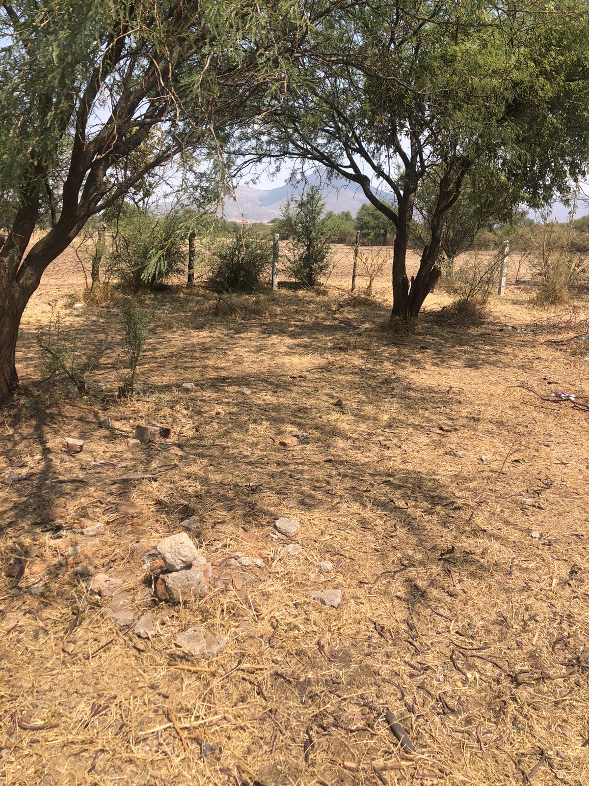 TERRENO LA PROVIDENCIA TONALA